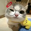 viaa_softspoken