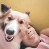 luffytaro3072