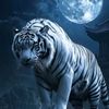 muhamat6794600731134