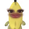 ocam_p0gi