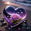 user4359305068779