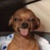 binabinuu