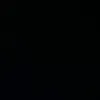schahin_7