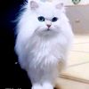 soufyanesoufyane529hvjv