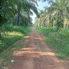 eayagung12