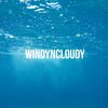 windyncloudy