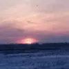 .olga_54rus