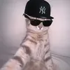 lehlo_12