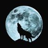 furqon_hakim1