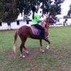 biba_213971