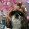 tokyodelpapel34