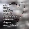 bonq