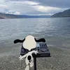 mmmmio81