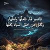 monyy5217