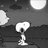 amooow_