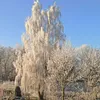 arnencrebdn