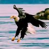 long.usman