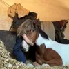 h.equinex