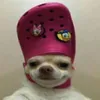 sebbedalle