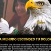 user846313818614