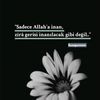 dln04_