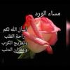 user15527090344055