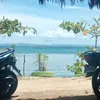 filiate27