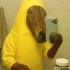 uvapassacomleite_