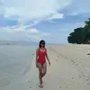Windy affiliate