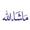hayat.mohamed83