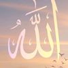 user90268244271