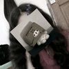 ren_hardani
