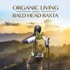 debaldheadrasta