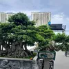 khanh.nguyen.quoc48