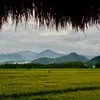 woshihuang_06