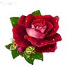user53880815194802