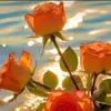 loly_9130