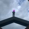 enxicity1