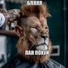 1a1kas