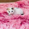followme_663
