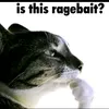 sangbel.l