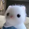 anhll9