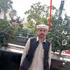baharalishah66