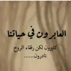 user81731128543077