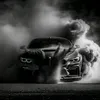 i_sarex_l