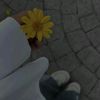 its_batoul_2010