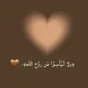 zz_xxvvbb