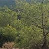 riadhelandaloussi
