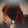 الأصيله 🇸🇦🐎