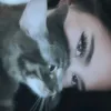 vvppwwl